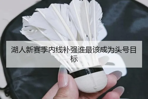 湖人新赛季内线补强谁最该成为头号目标