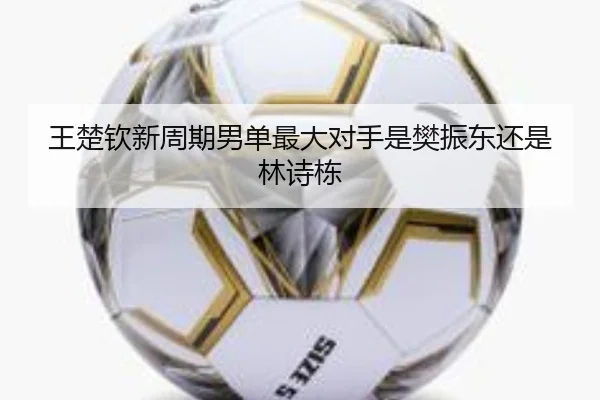 王楚钦新周期男单最大对手是樊振东还是林诗栋