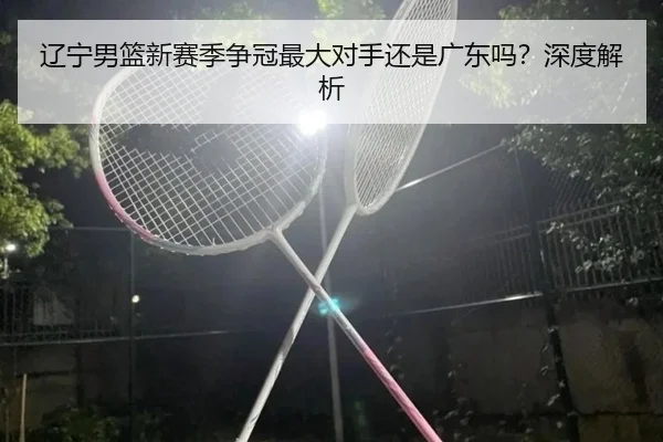辽宁男篮新赛季争冠最大对手还是广东吗？深度解析